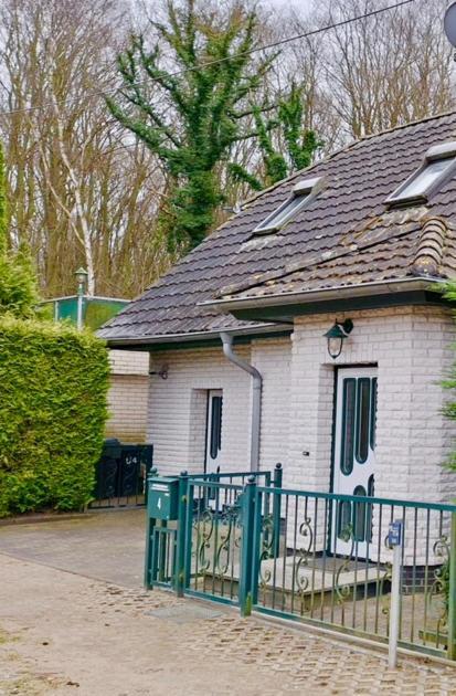 Ferienhaus Am Strand Loissin エクステリア 写真
